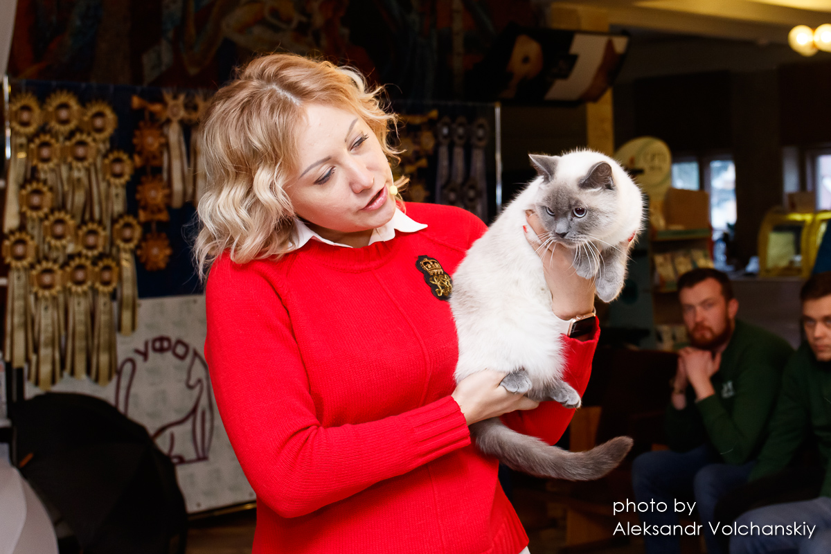 Регистрация кошек в клубе Украинского Фелинологического Объединения