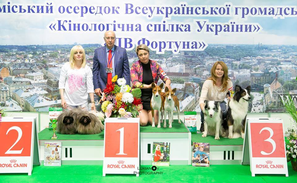 Квалифицированные консультации для владельцев собак, Львов