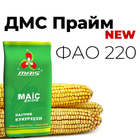 Середньоранній гібрид кукурудзи ДМС Прайм (ФАО 220)