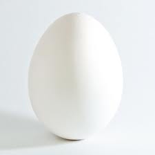Інкубаційне яйце курей 