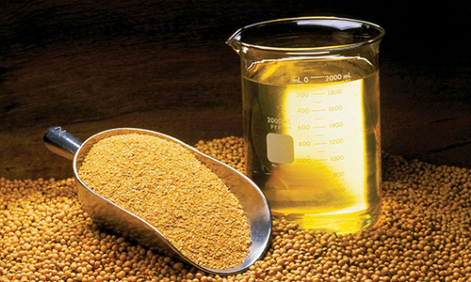 Olej sojowy, płynny olej roślinny z nasion soi
