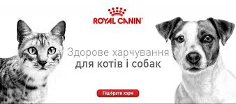 Купити корм для собак, котів RoyalCanin, Львів