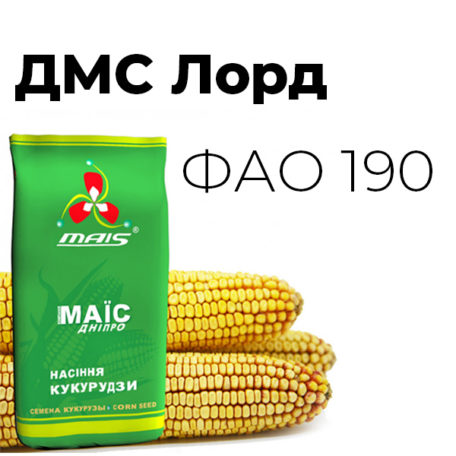 Ранньостиглий гібрид кукурудзи ДМС Лорд (ФАО 190) 