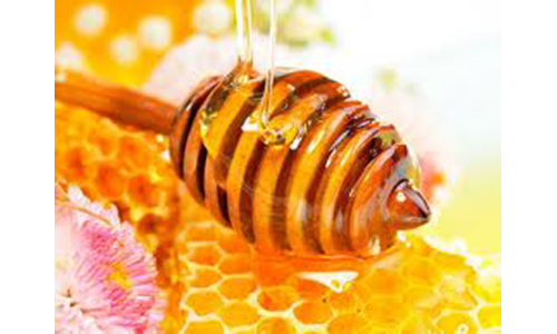 Закарпатський мед і медові суміші