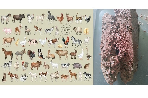 Pasztet z indyka Kraft Protein dla zwierząt