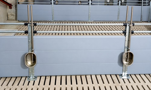 Fencing for pigs – stainless steel, galvanized steel, plastic