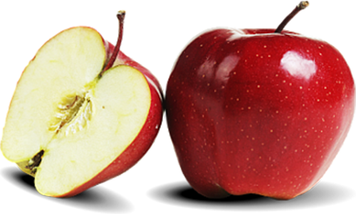 Вирощування, продаж яблук сорту Глостер