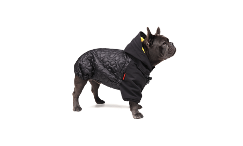 Куртка для собак з утеплювачем Carbon від виробника