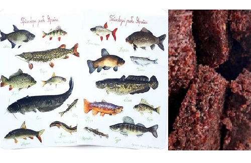 Композиційний натуральний корм для риби з підсиленням росту