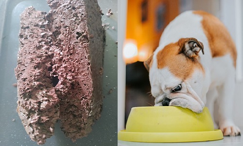 Протеїновий крафтовий паштет з індика для тварин