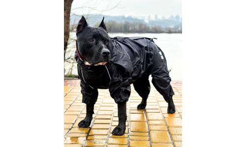 Płaszcz przeciwdeszczowy dla psów bez podszewki Hunter Black, Charków