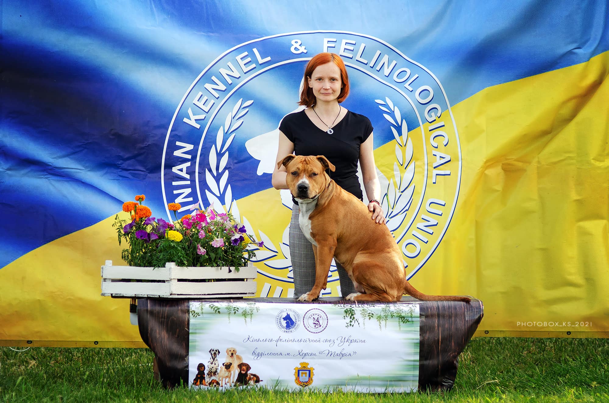 Підготовка собак у Львові до виставок КФСУ 