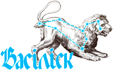 ВАСІЛІСК, ПП - виготовлення гофротари