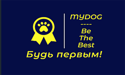 MYDOG-іграшки та амуніція для собак