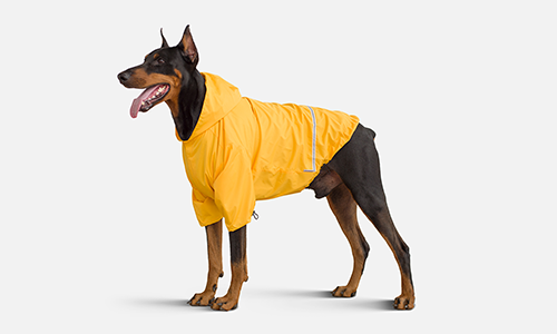 Дощовик для собак Moss, продаж по Україні