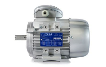 Асинхронний трифазний електродвигун Delphi 100L-2 B14 3 кВт 3000 об / хв
