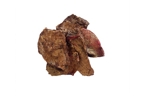 Натуральные диетические легкие сушеные для собак Львов